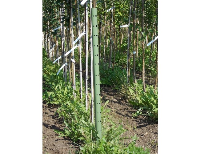 Tubes fendus 7,5/070 cm - 100 p.